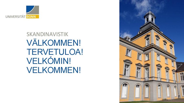 Vorstellung Abt. Skandinavistik 2025.pdf