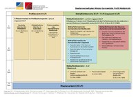 Studienverlaufsplan Master Germanistik Profil Mediävistik.pdf